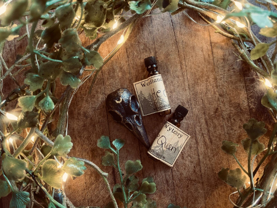 two bottles of liquid, possibly containing a mysterious liquid, placed on a wooden surface surrounded by a wreath of greenery and twinkling lights.