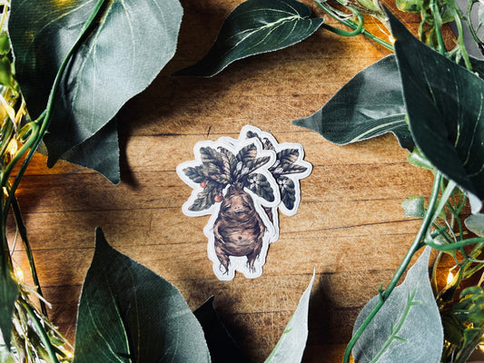 Mandrake | Waterproof Sticker | Cottagecore | Vinyl Sticker | Laptop Sticker | Planner Sticker | Journal Sticker | Water Bottle Sticker